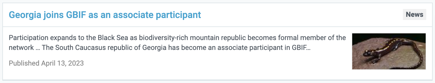 Georgia News Item