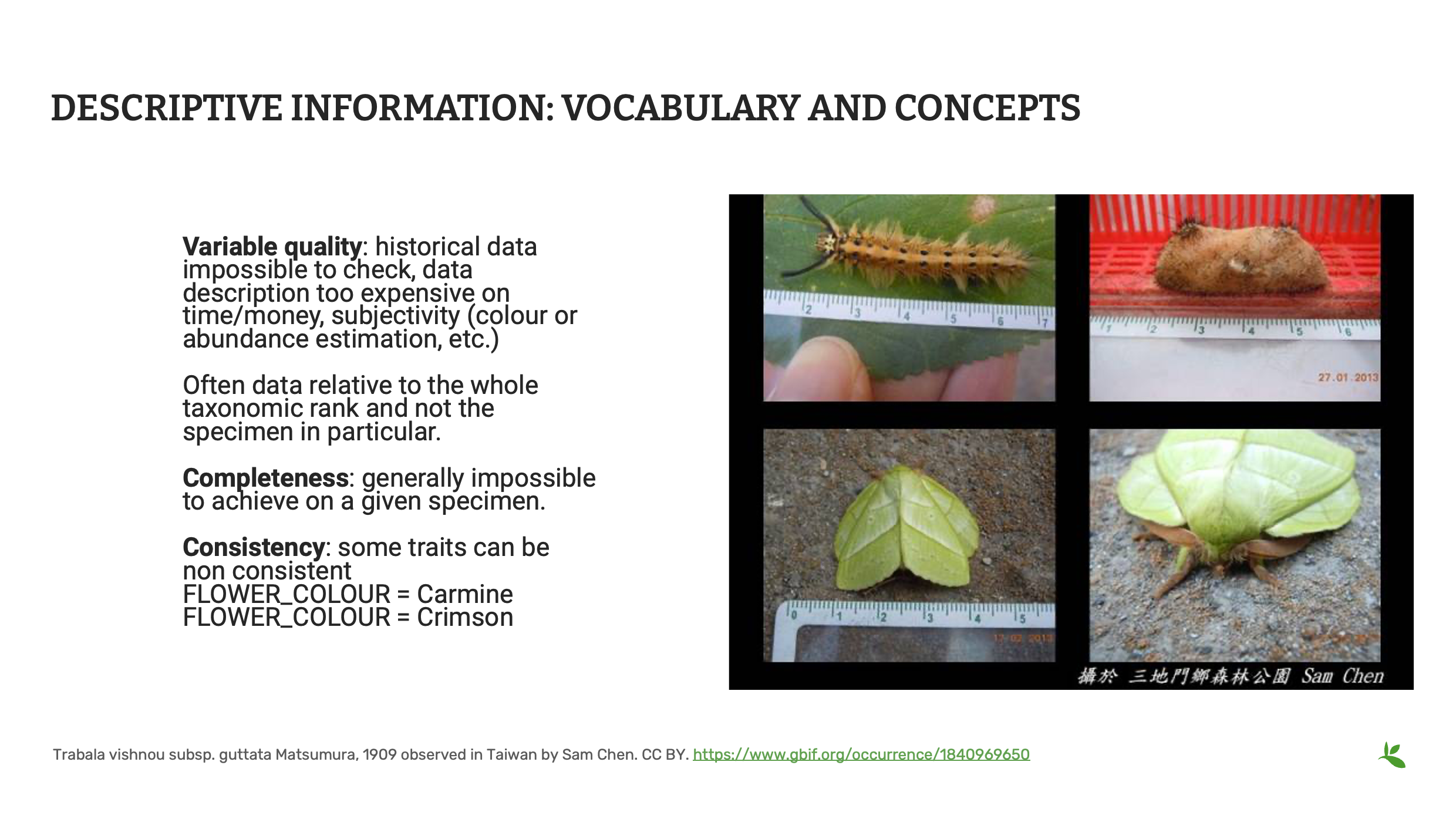 capture quality Slide16