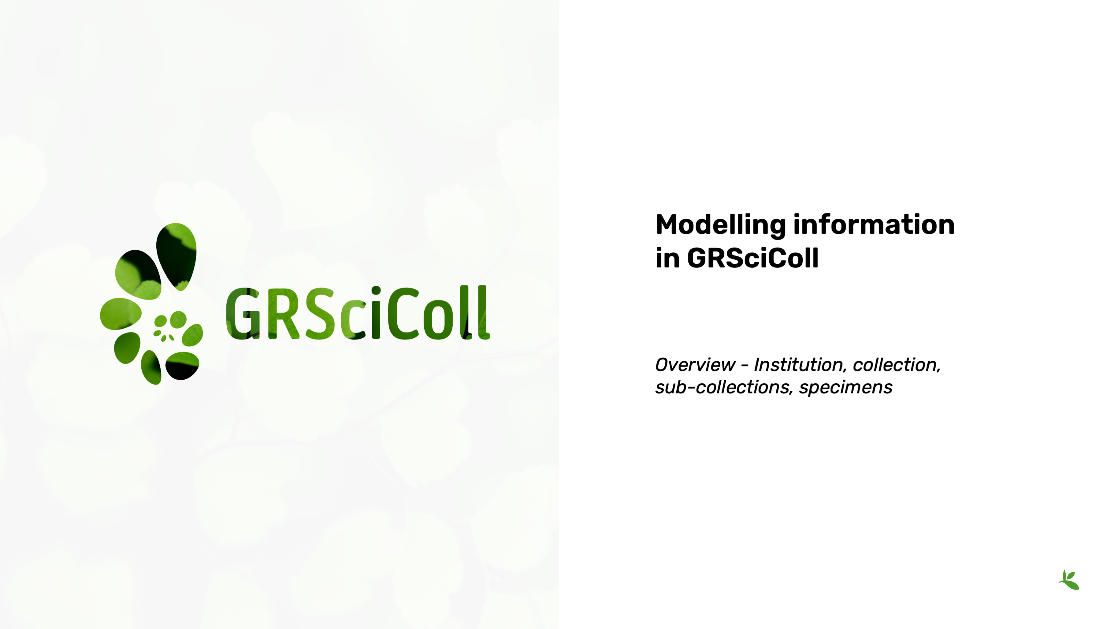 module2 section1 Slide1