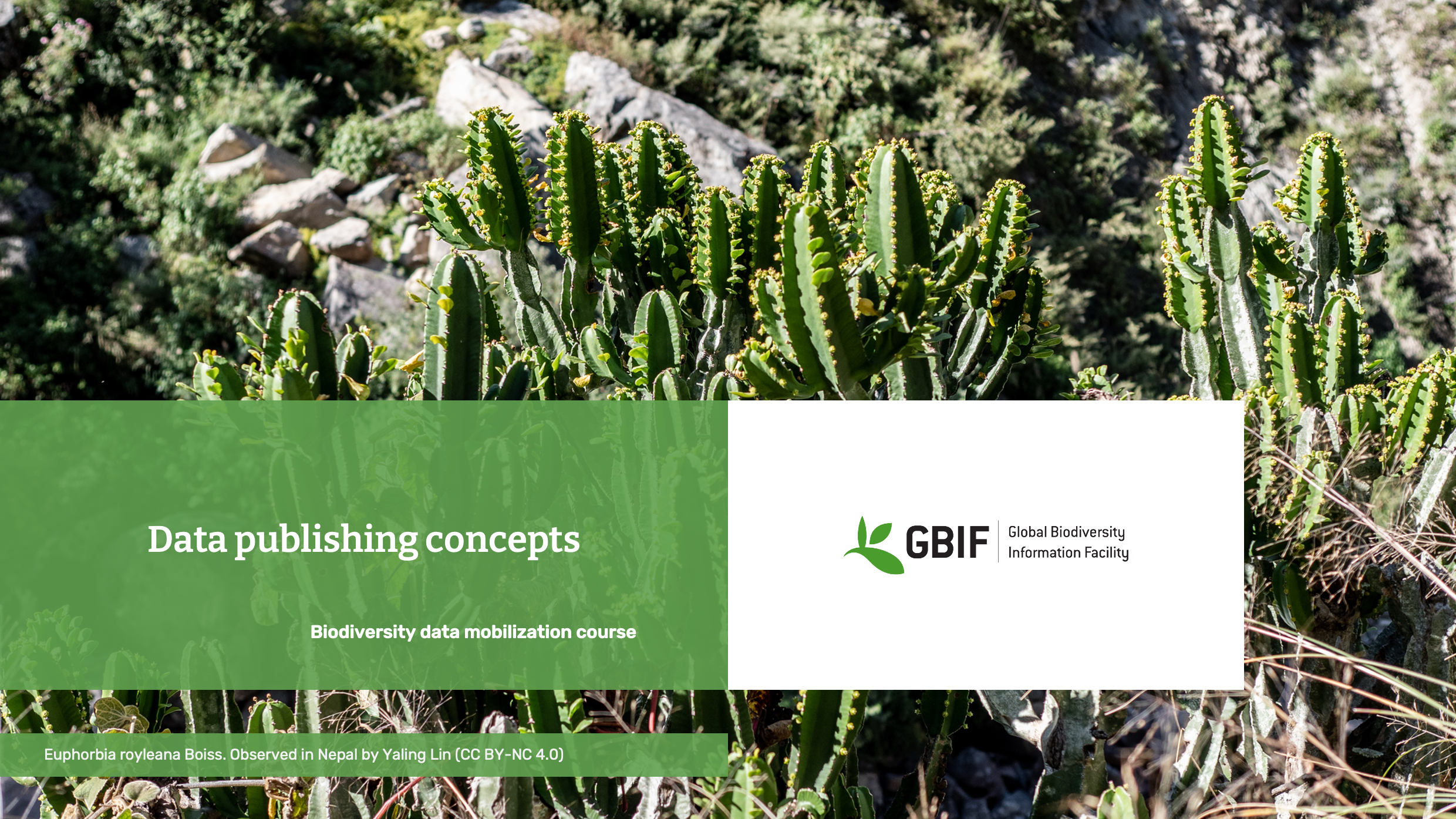 publishing concepts Slide1