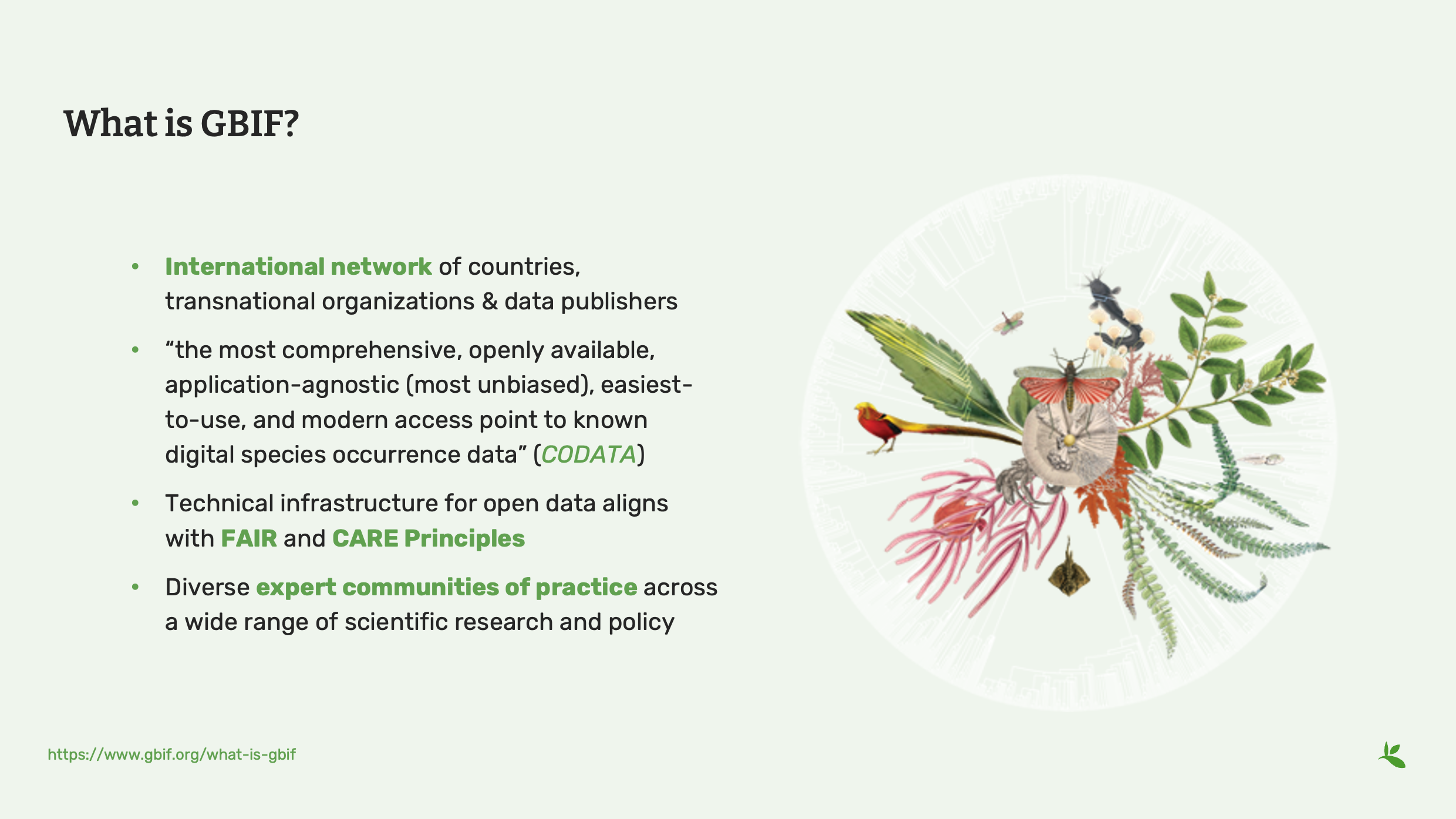 intro to gbif Slide2
