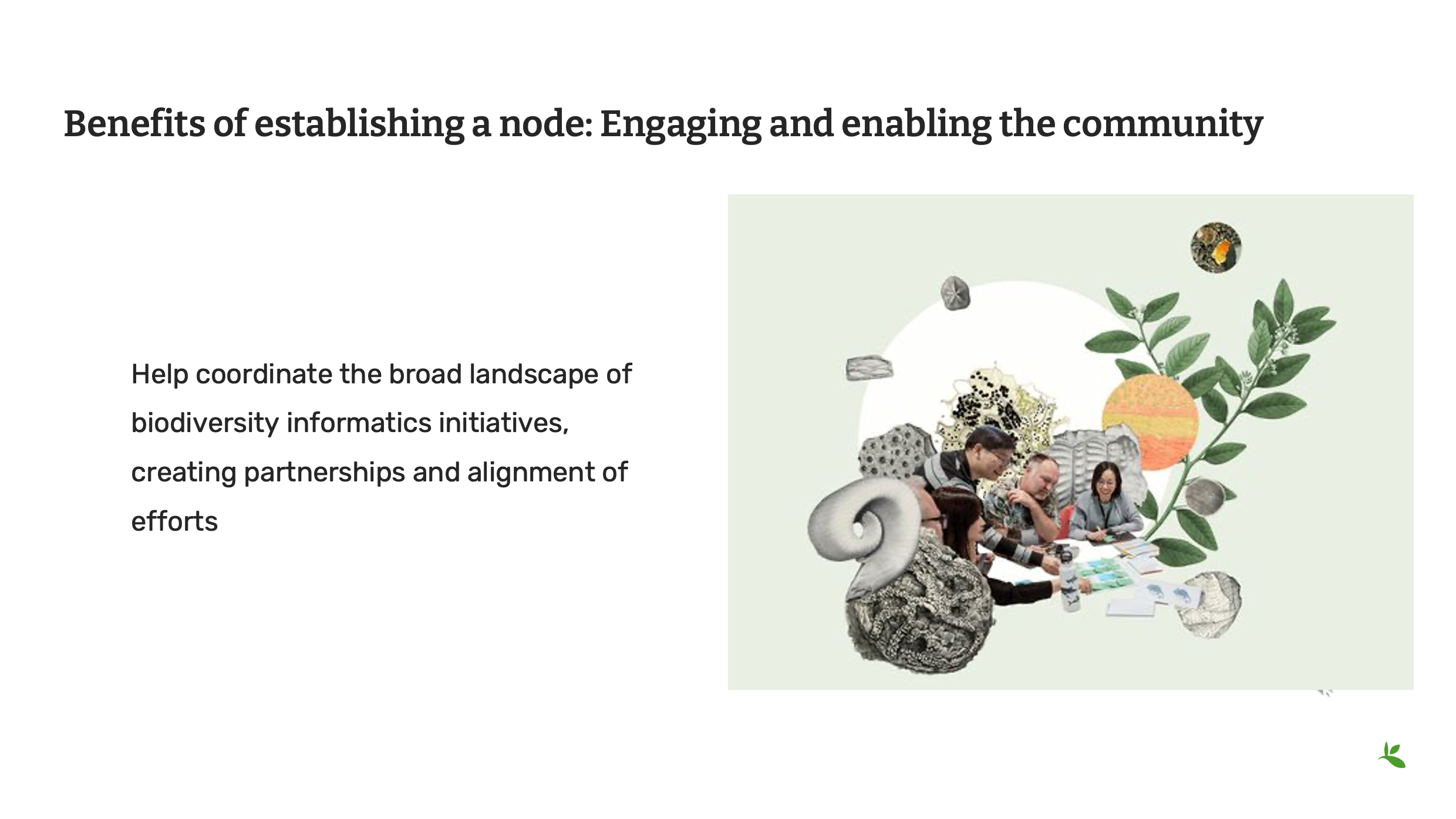 role of nodes Slide8